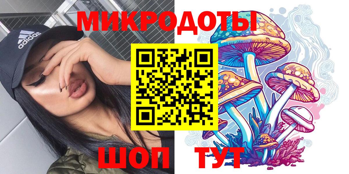 Псилоцибиновые грибы GOLDEN TEACHER Коркино