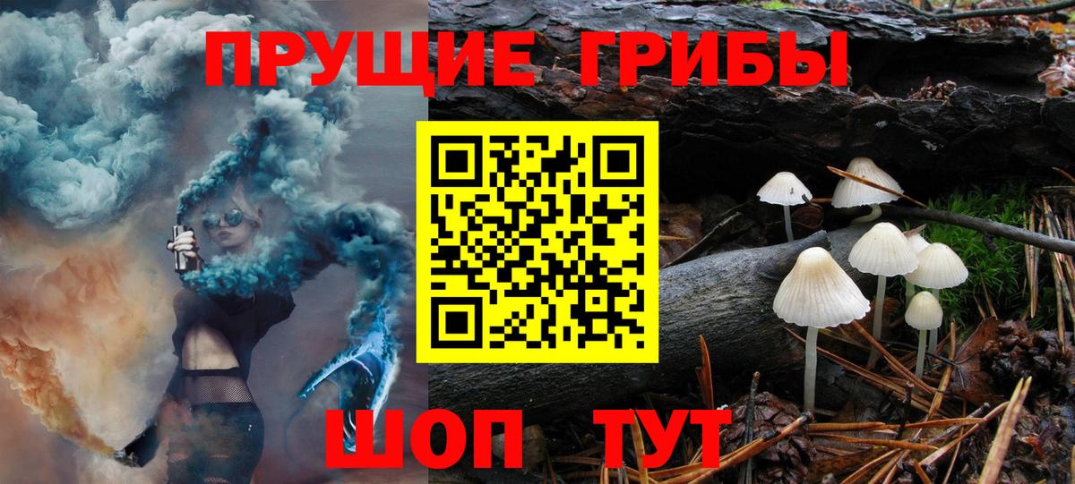 Коркино  Галлюциногенные грибы ЛСД  Вход с VPN 